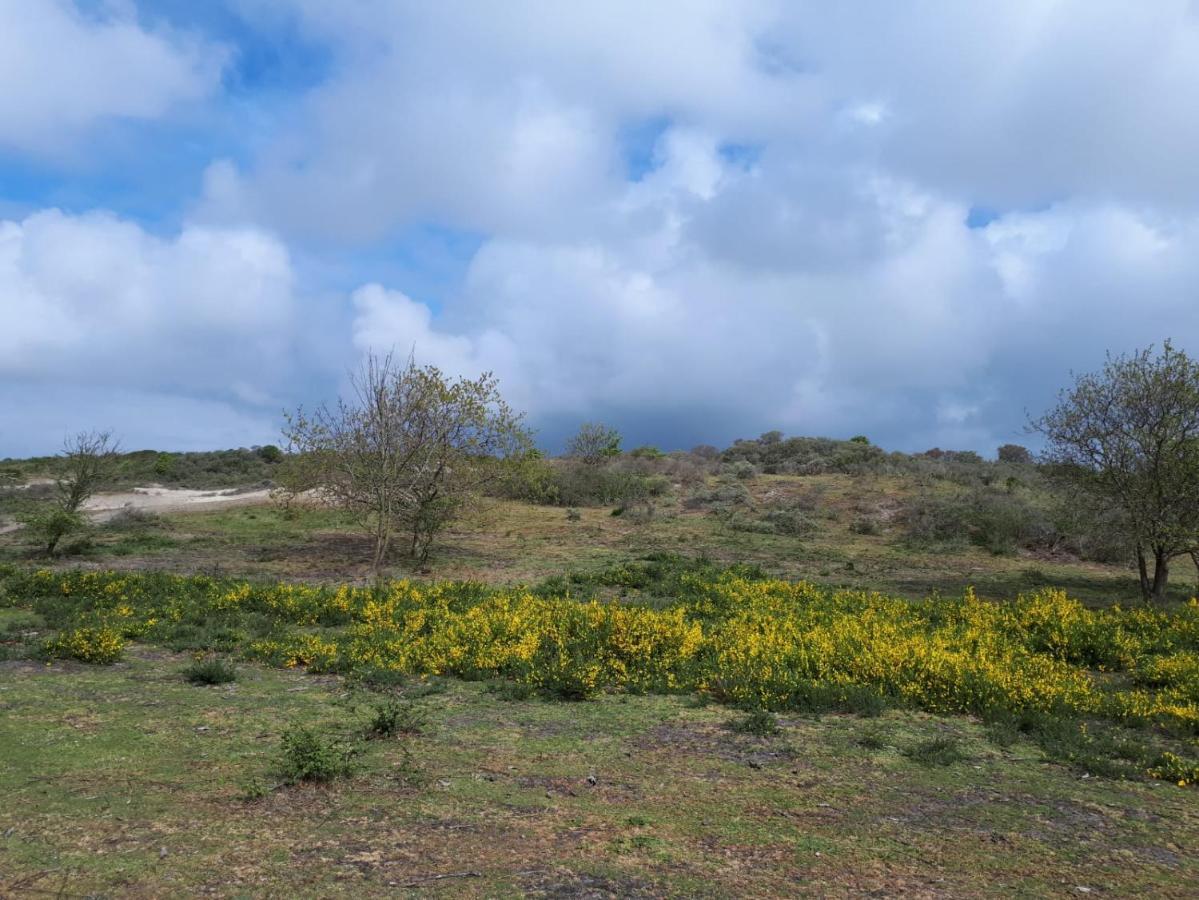 Vakantiehuis La Petite Redousse Renesse Kültér fotó